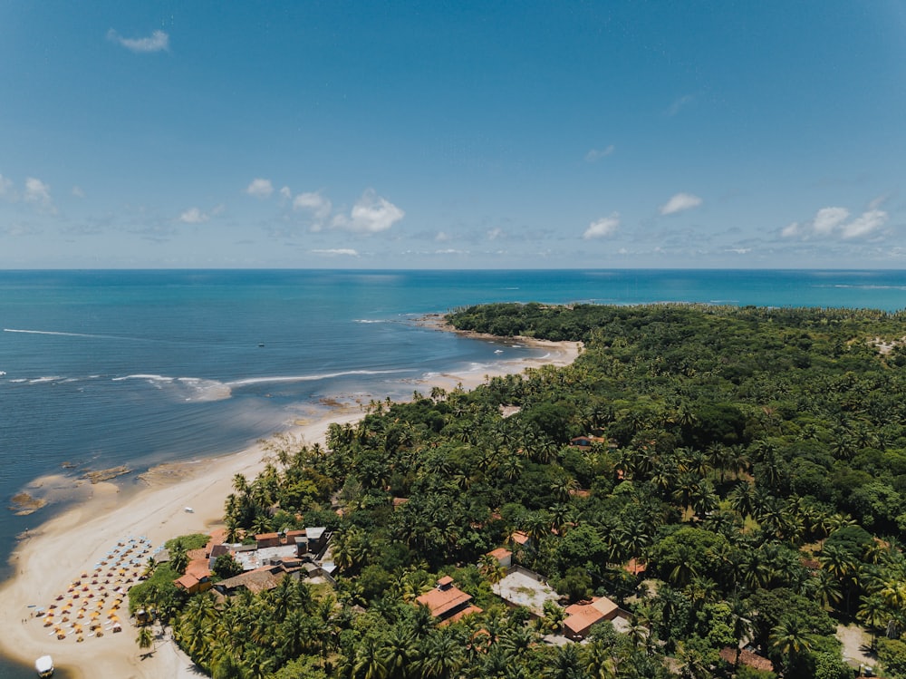 Vue aérienne de la côte tropicale de la péninsule de Maraú, Bahia